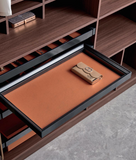 Wardrobe Jewelry Tray - Premium Series | Organizer for Wardrobe & Cabinet | AE Luxury Home