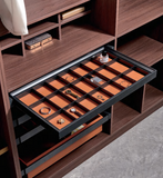 Wardrobe Jewelry Tray - Premium Series | Organizer for Wardrobe & Cabinet | AE Luxury Home