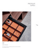 Wardrobe Jewelry Tray - Premium Series | Organizer for Wardrobe & Cabinet | AE Luxury Home