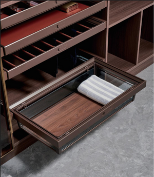 Sliding Glass Basket for Wardrobe | Organizer for Wardrobe & Cabinet | AE Luxury Home