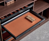 Wardrobe Jewelry Tray - Premium Series | Organizer for Wardrobe & Cabinet | AE Luxury Home